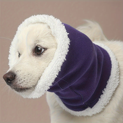 Fashionable dog wearing ear protection headgear outdoors in violet blue color