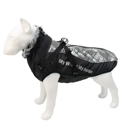 "Model dog showcasing our grey pattern waterproof jacket with harness."
