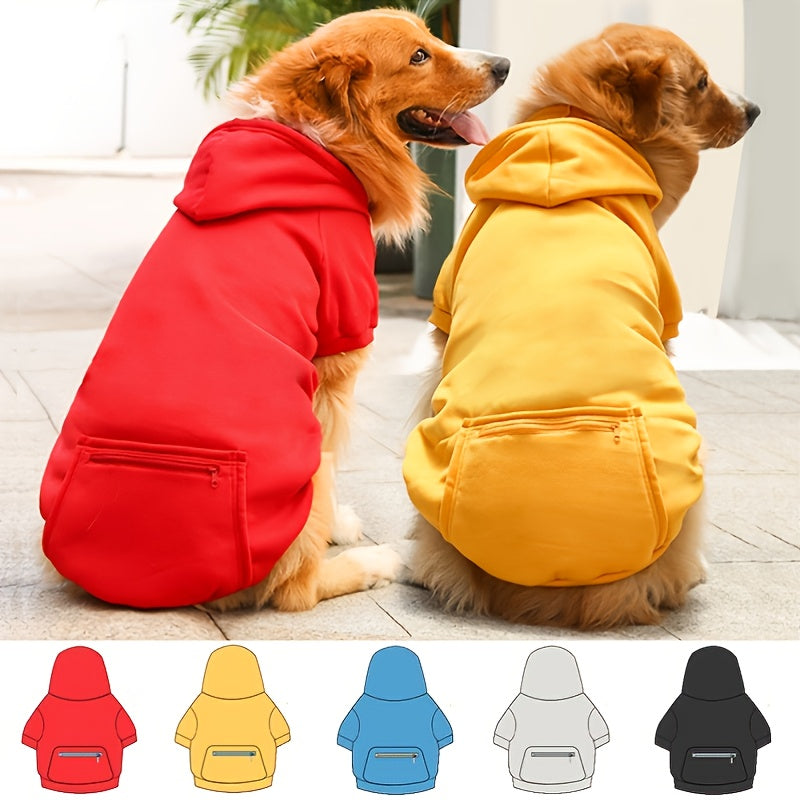 Pet in colorful dog clothes designed for both dogs and cats