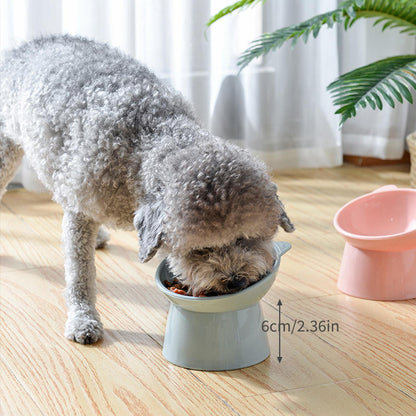 Ergomical Cat Feeding Bowl