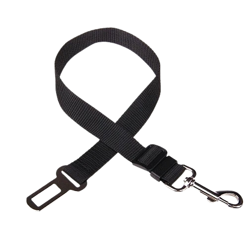 black dog seat belt