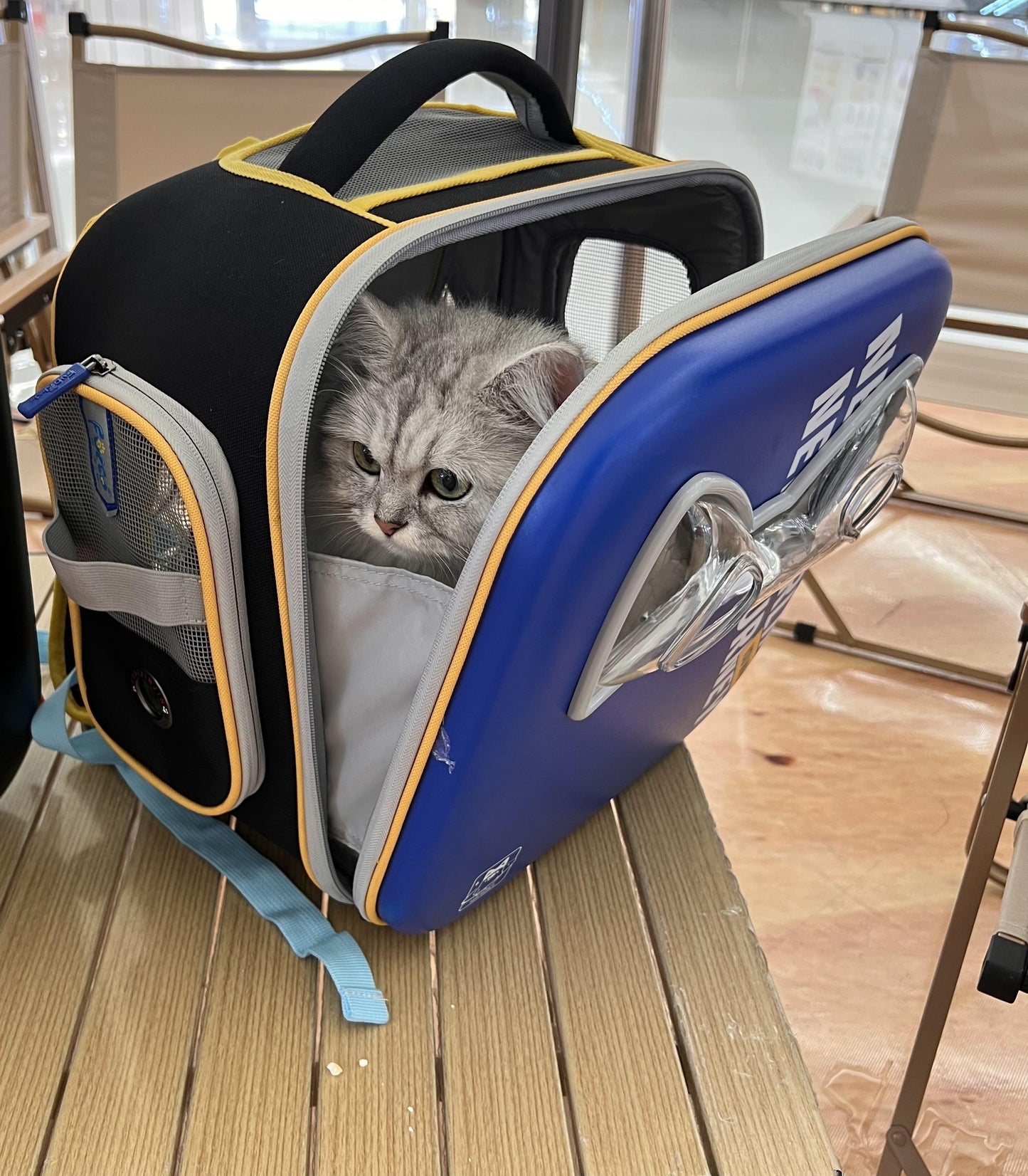 Space Capsule Pet Backpack for adventurous dogs and cats.
