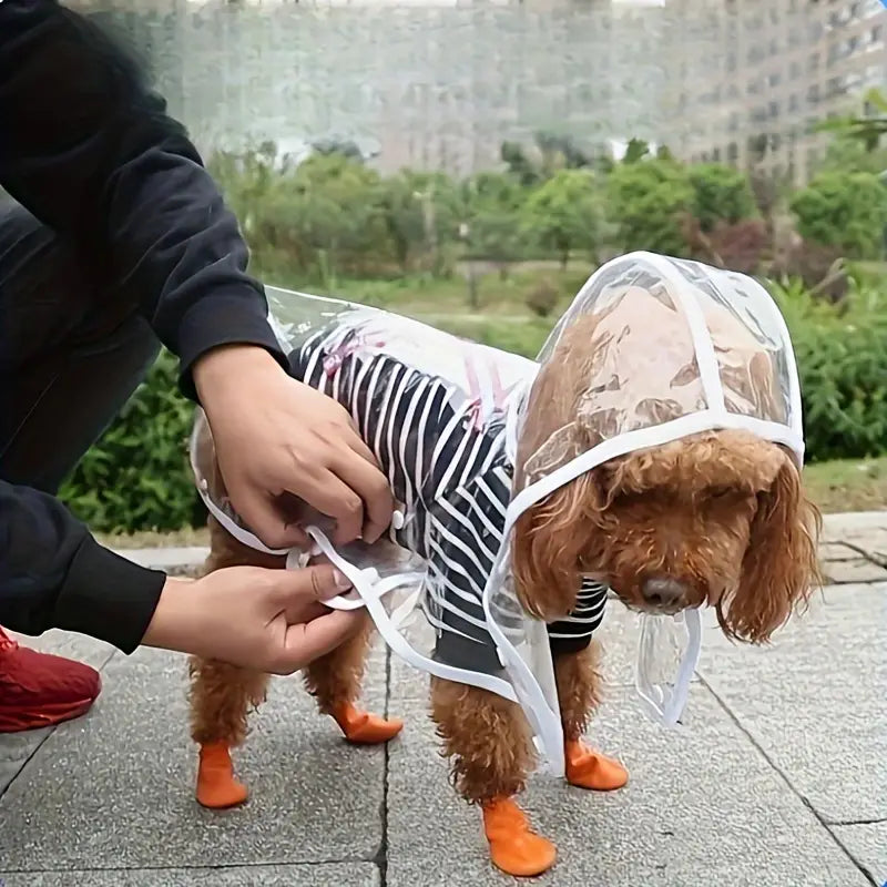 Color Edge Waterproof Dog Raincoat - Transparent PVC with Snap Buttons and Double Button Design