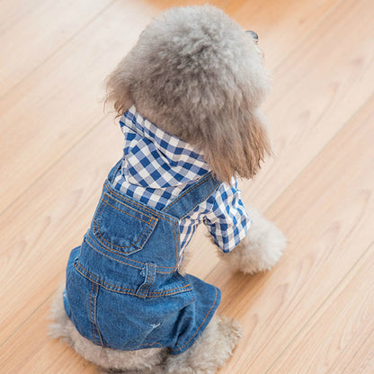 Happy puppy in a comfy denim dog apparel.