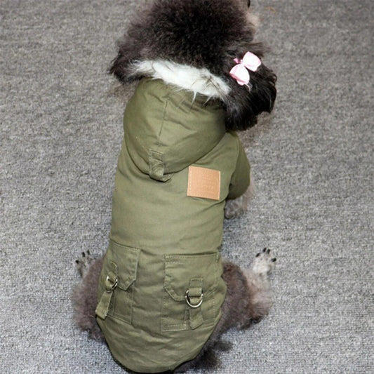 Cozy and chic insulated coat for small to medium dogs