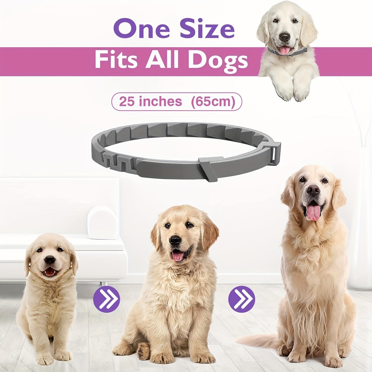 Sizes of dog calming collar