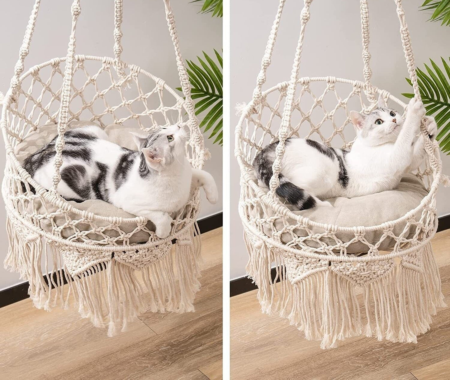 Elevated 'Cat Bed' with Breathable Cotton for Indoor Cats