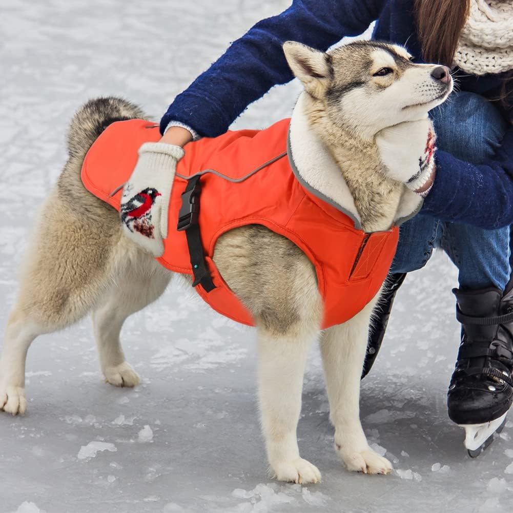 Winter Dog Jacket in Orange Color