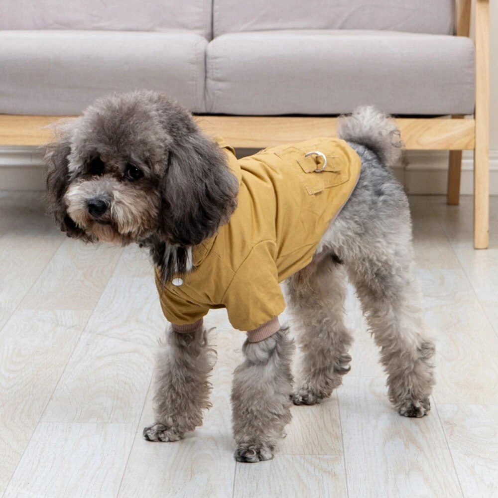 Stylish winter parka for dogs, equipped with a thermal layer and adjustable straps