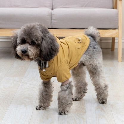 Stylish winter parka for dogs, equipped with a thermal layer and adjustable straps