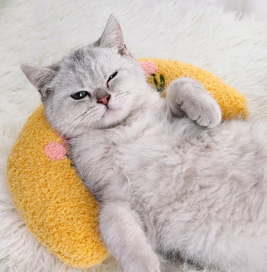 "Cat lying on its back, neck comfortably supported by a yellow U-shaped pillow."
