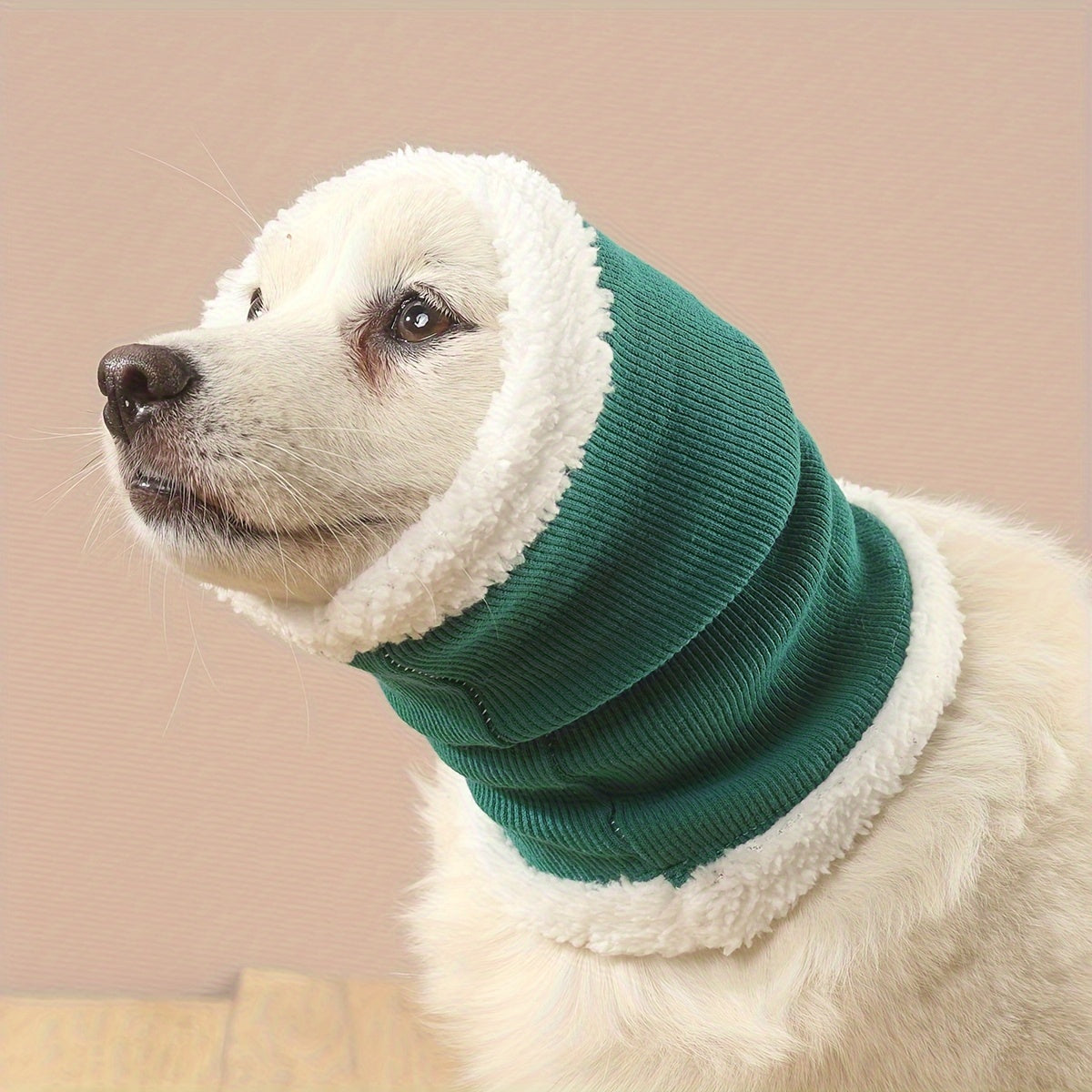 Fashionable dog wearing ear protection headgear outdoors in  green color