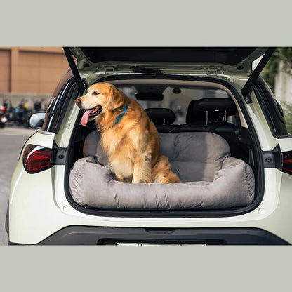 "Golden Retriever on a booster seat in the boot, gazing out with curiosity."