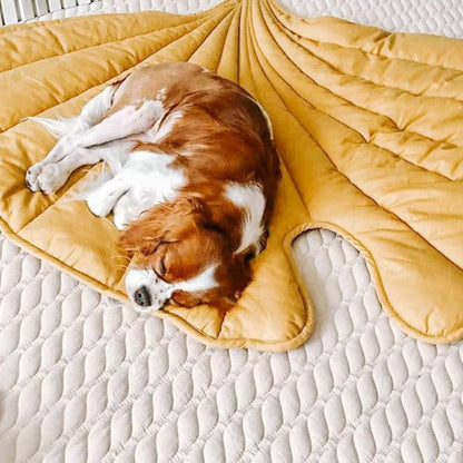 "Corgi resting on a vibrant yellow leaf-patterned pet mat."