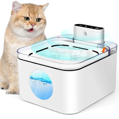 a cat beside the pet water fountain