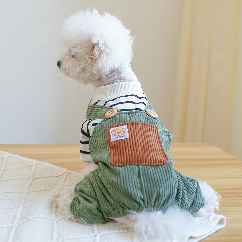 Dog wearing chic dog clothes jumpsuit in breathable fabric