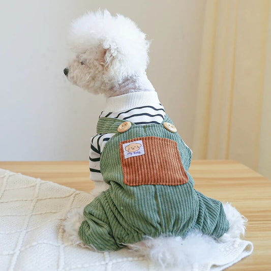 Dog wearing chic dog clothes jumpsuit in breathable fabric