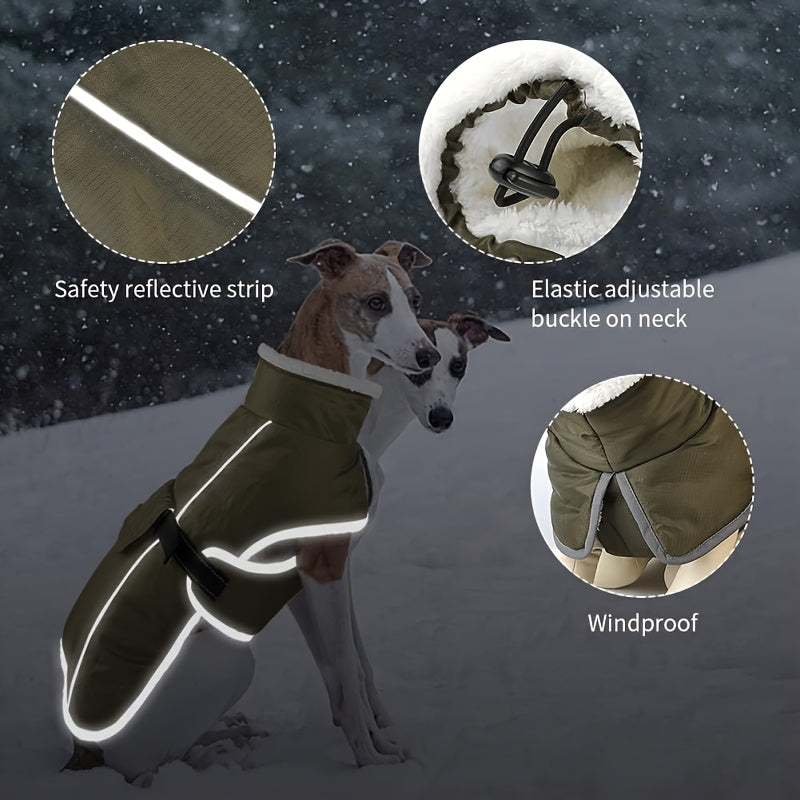 "Close-up of the reflective stitching on the dog winter coat for safety."