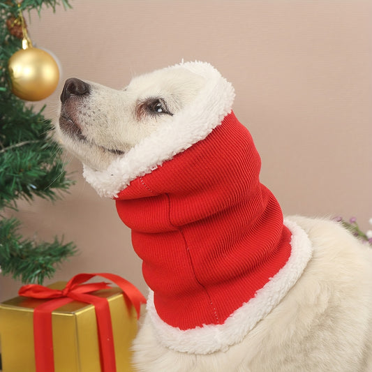 Fashionable dog wearing ear protection headgear outdoors in red color