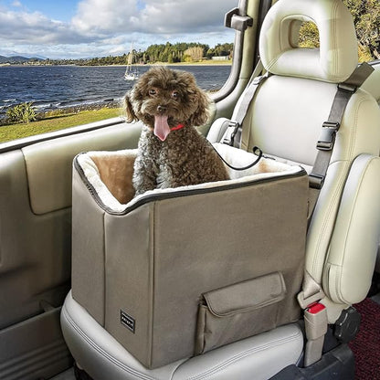 A dog with curly brown fur sitting in a large, brown dog booster seat fitted securely on a car