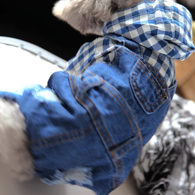 Fashion-forward dog sporting a chic denim jumper, ready for autumn.