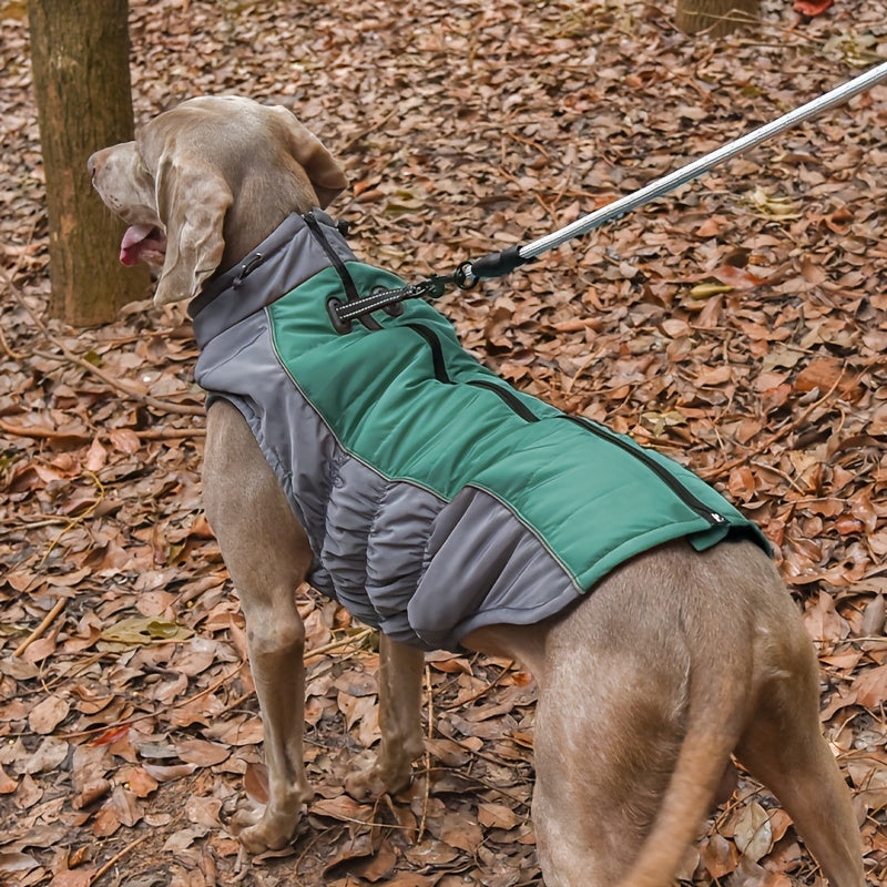 Dog Wearing Waterproof Reflective Jacket with Safety Strips