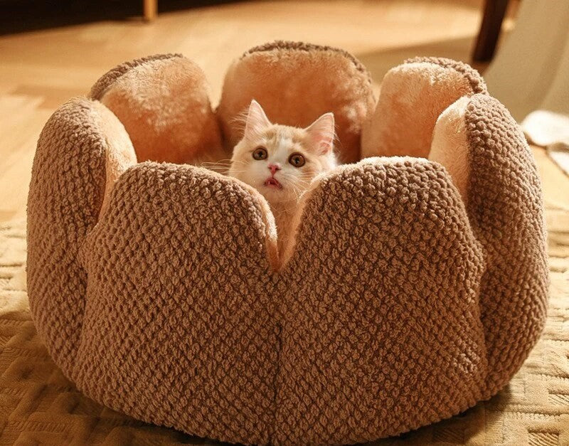 Innovative cactus design cat bed with flower shape.