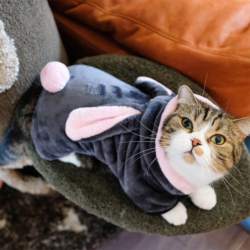 Stylish kitten in rabbit-designed dog coat, perfect for cold days