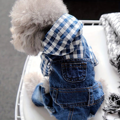 Cute dog wearing stylish denim jumper, posing on a sunny day.