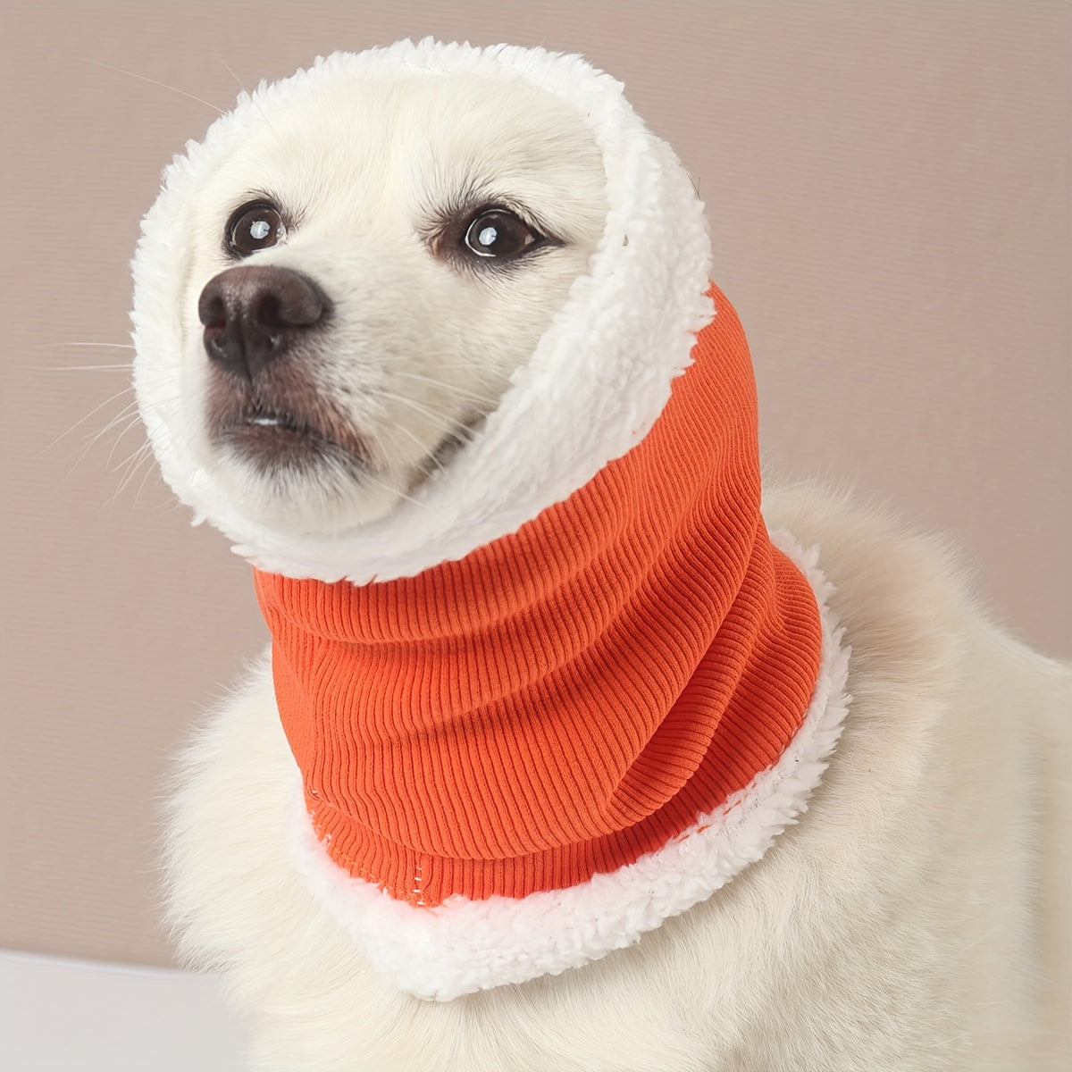 Fashionable dog wearing ear protection headgear outdoors in orange color