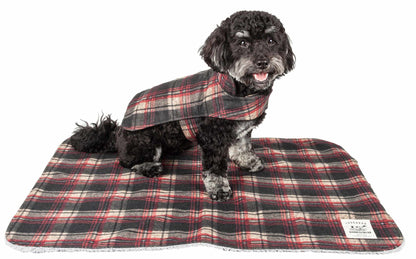 "Small dog sitting on a red matching tartan mat, wearing a reversible tartan jacket."
