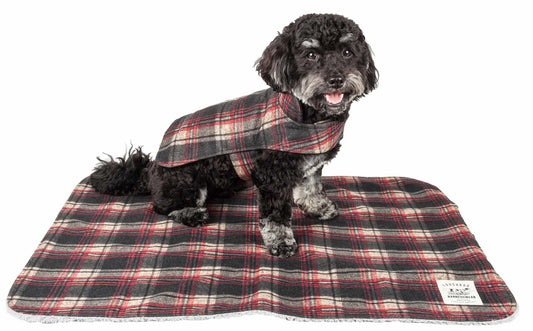 "Small dog sitting on a red matching tartan mat, wearing a reversible tartan jacket."
