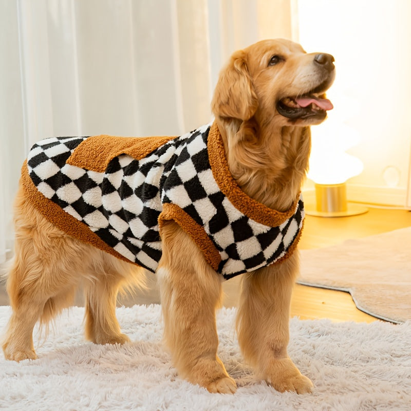 A dog wearing the tartan dog coat.