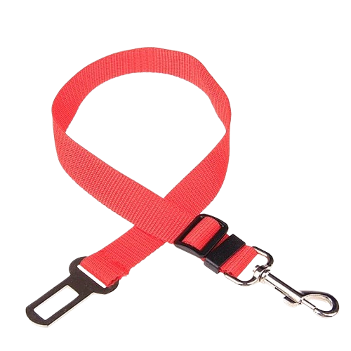 red dog seat belt