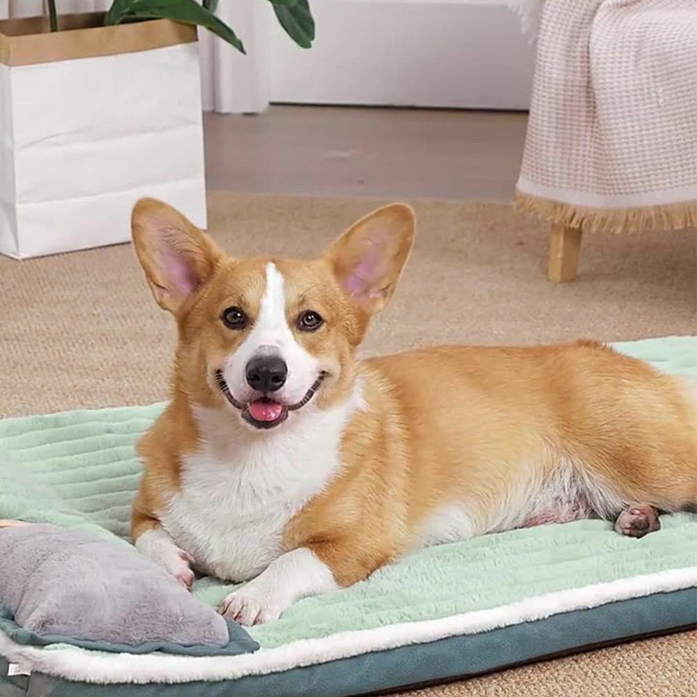 Non-slip rectangle dog/cat bed in medium to large sizes