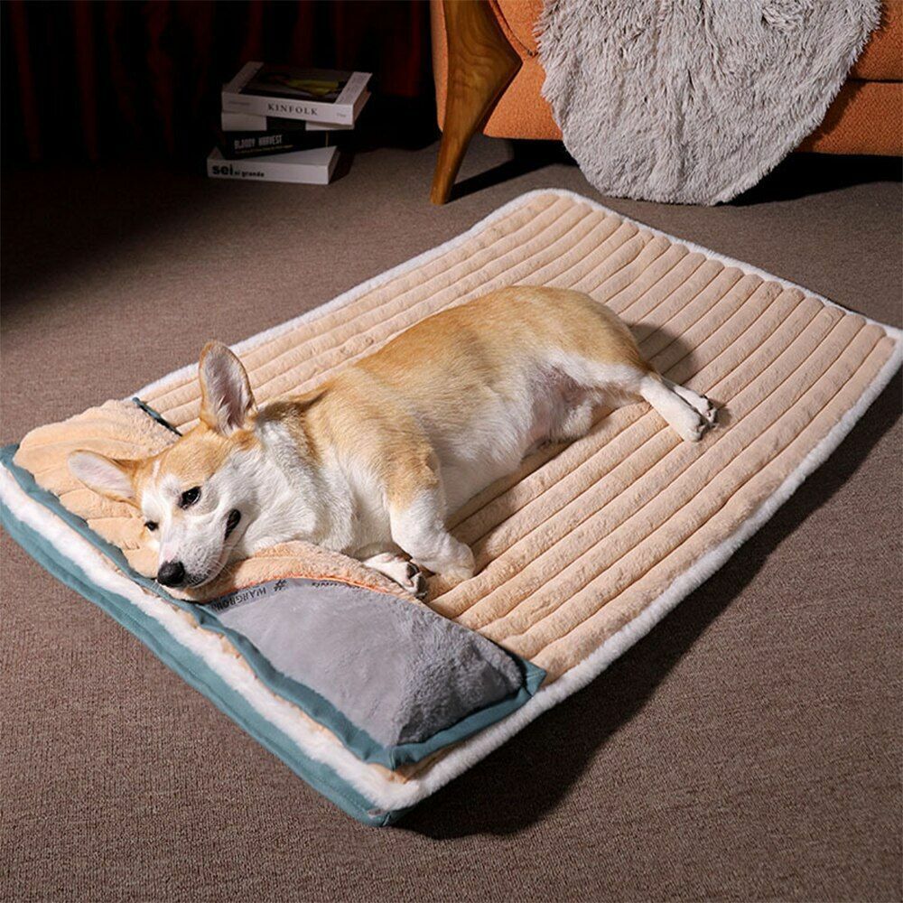 Medium large washable pet bed featuring orthopedic memory foam