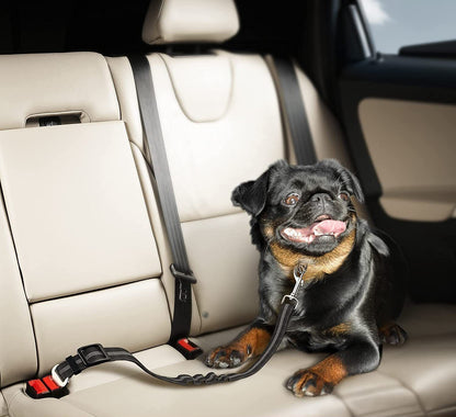 a dog in the car using the Adjustable Elastic Pet Car Seat Belt