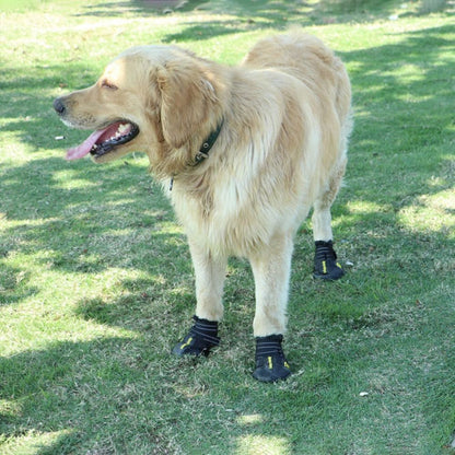 a dog with waterproof reflective boots