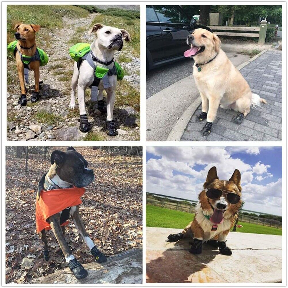 images of dogs wearing the reflective boots