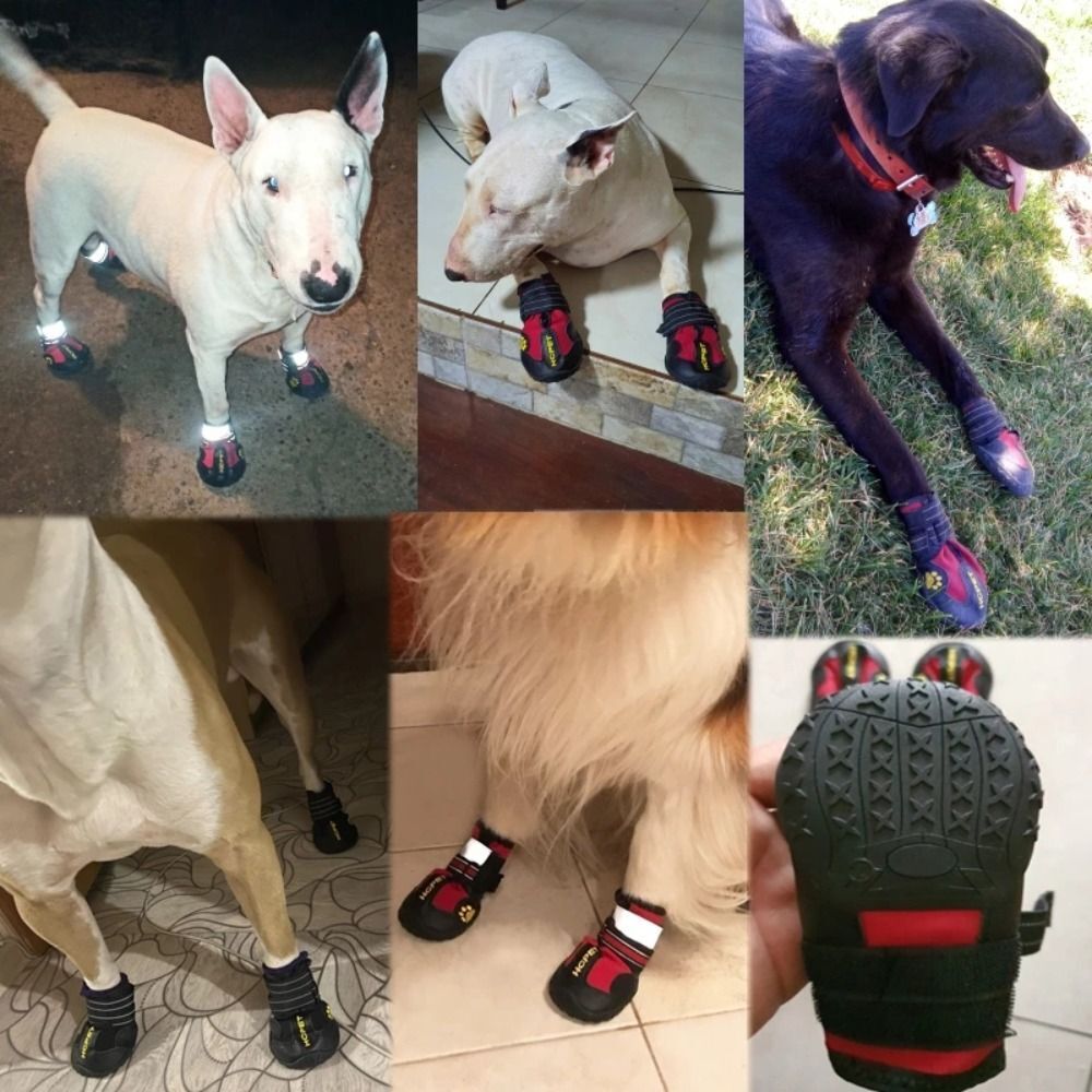 images of dogs wearing the reflective boots