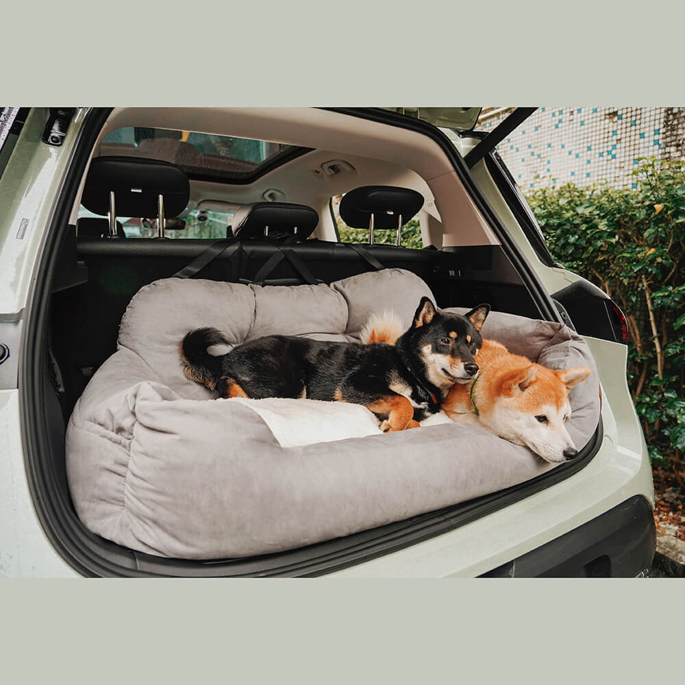 "Two dogs lying peacefully in a booster seat in the car's boot, snug and secure."
