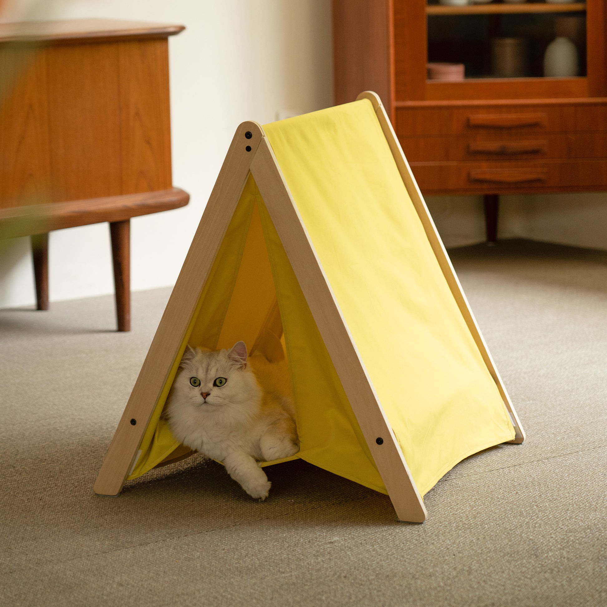 An overhead view of the tent, displaying its spaciousness