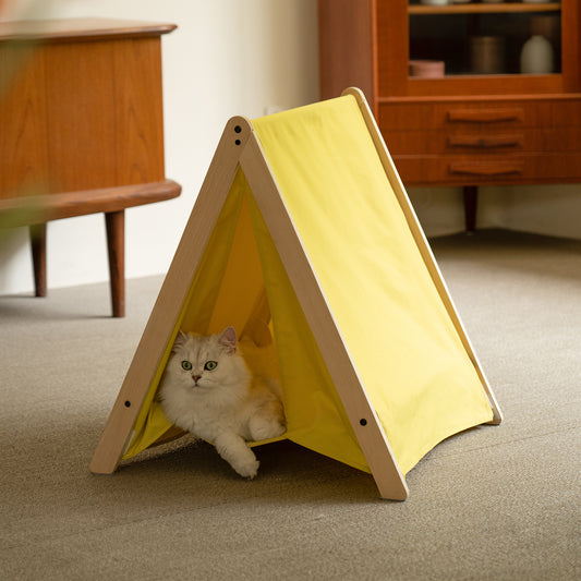 An overhead view of the tent, displaying its spaciousness