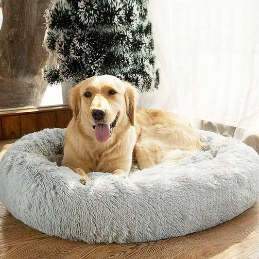 A Dog in an Orthopedic Plush Bed: Non-Slip & Soothing Comfort