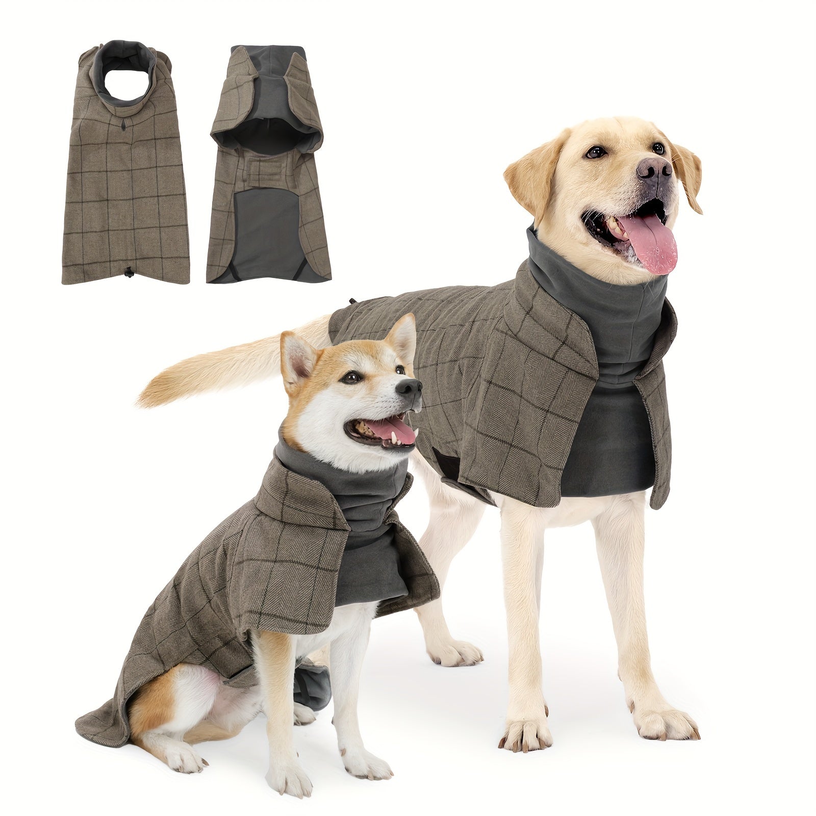 Dog wearing Premium Dog Clothes sweater and jacket combo in cold weather.