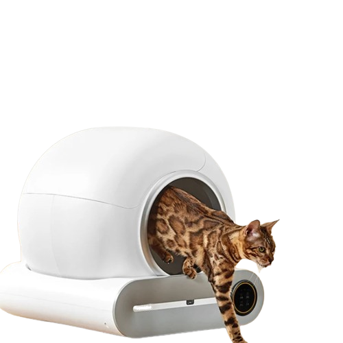 A happy cat exiting the Litter Robot after using the self-cleaning litter box