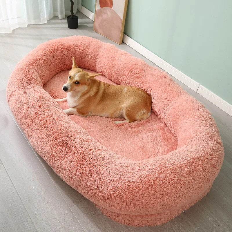 "A cheerful dog resting in a vibrant pink bed, adding a splash of color to its relaxation time."