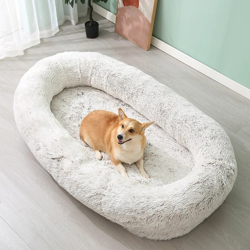 "A serene dog curled up in a soft white bed, epitomizing comfort and tranquility."