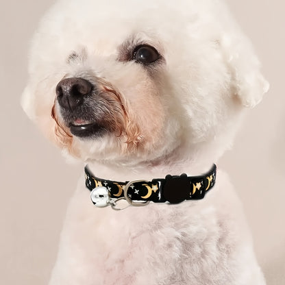 Fluffy white dog with a black collar with bell.