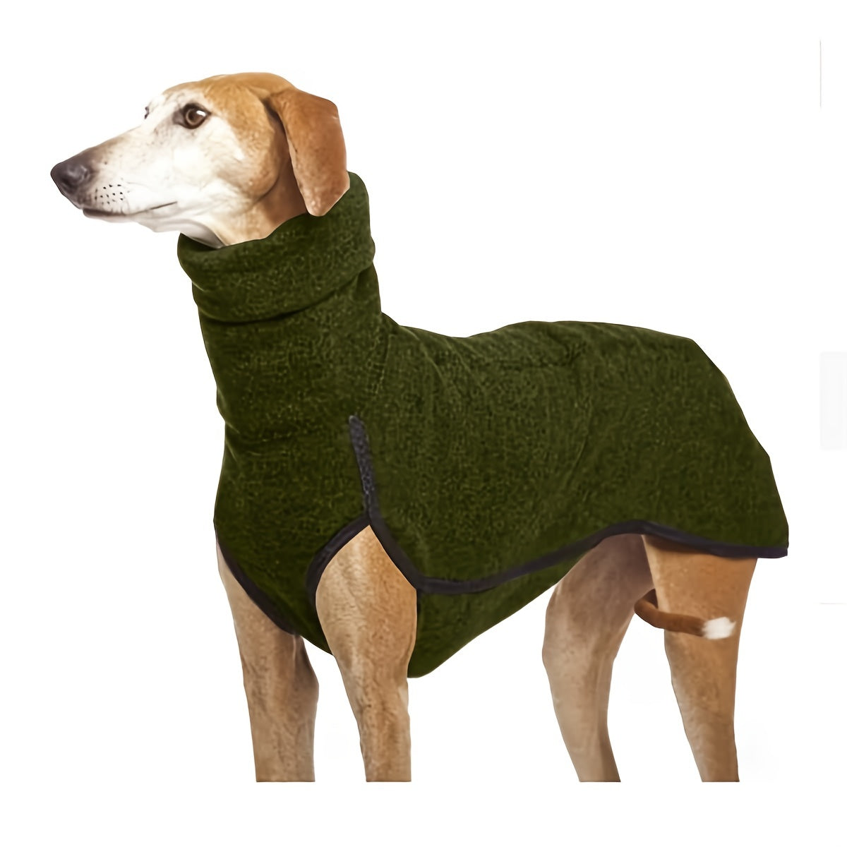 A dog dressed in a forest green turtle neck sweater that provides full coverage from neck to tail